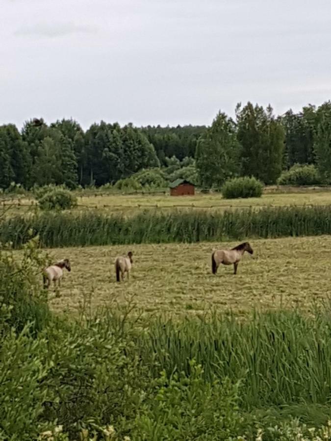 Apartamenty Białowieża エクステリア 写真